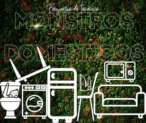 Read more about the article Recolha de Monstros Domésticos